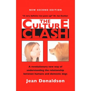 The Culture Clash